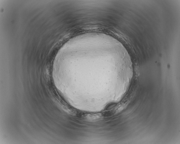 X0000069390373200606021638