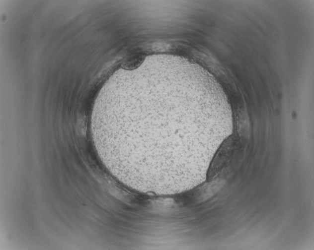 X0000069390374200606021638