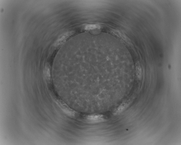 X0000069390375200606021638