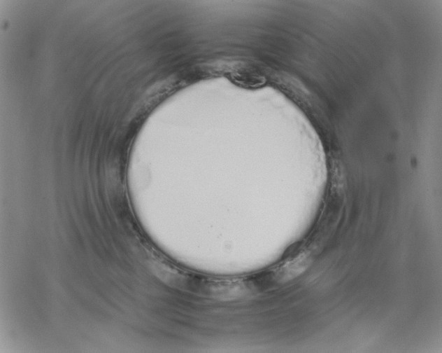 X0000069390377200606021638