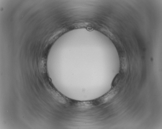 X0000069390378200606021638