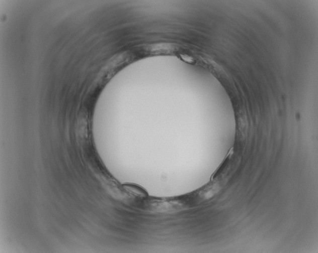 X0000069390379200606021638