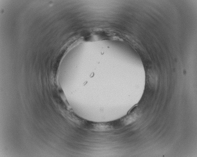 X0000069390380200606021638