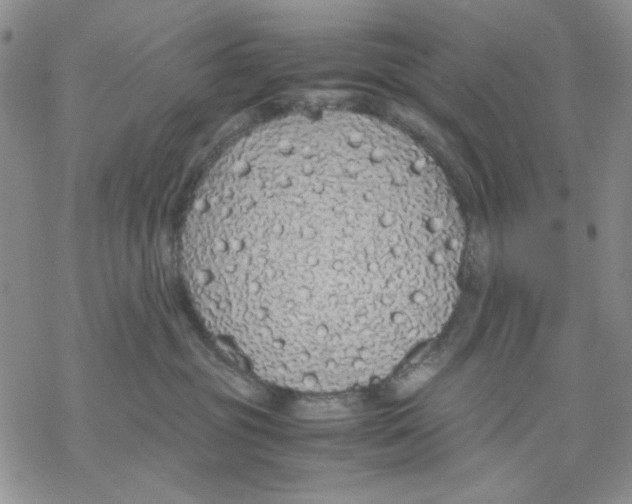 X0000069390381200606021638