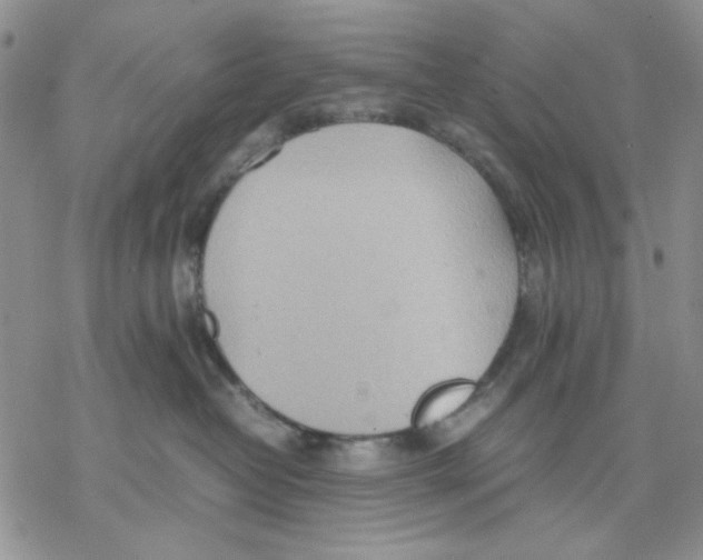 X0000069390382200606021638