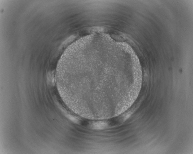 X0000069390383200606021638