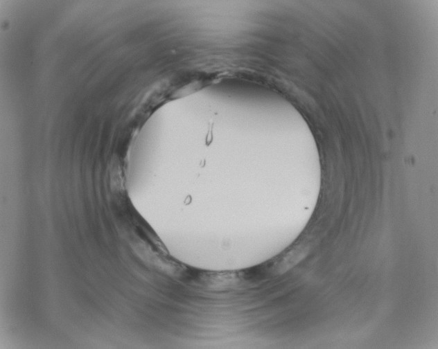 X0000069390384200606021638