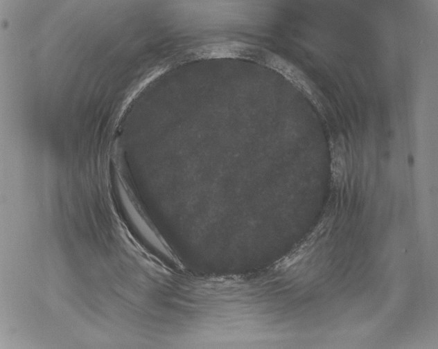 X0000069390386200606021637