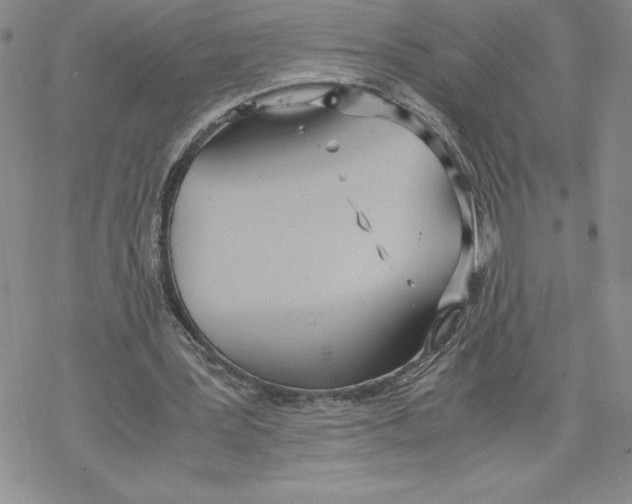 X0000069390387200606021637