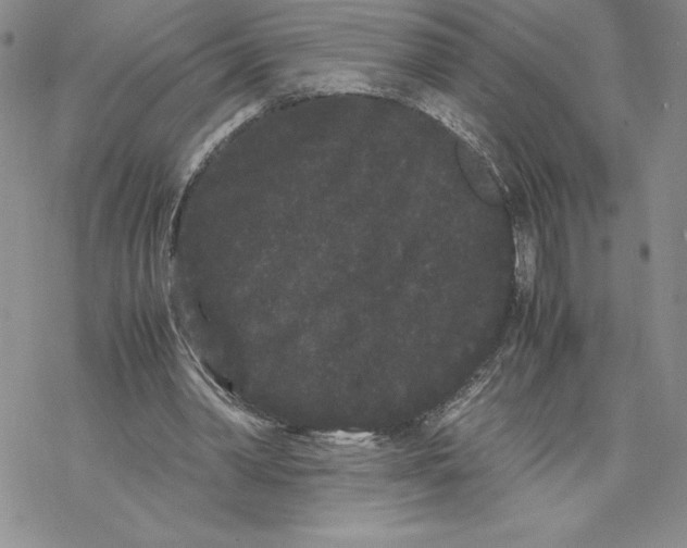 X0000069390390200606021637