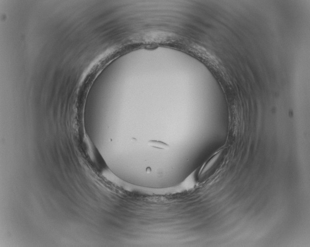 X0000069390392200606021637