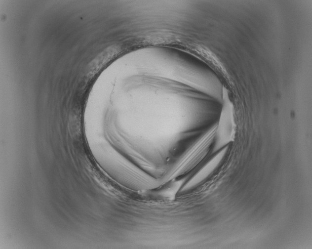 X0000069390393200606021637