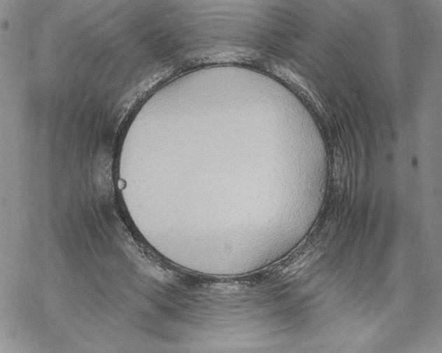 X0000069390394200606021637