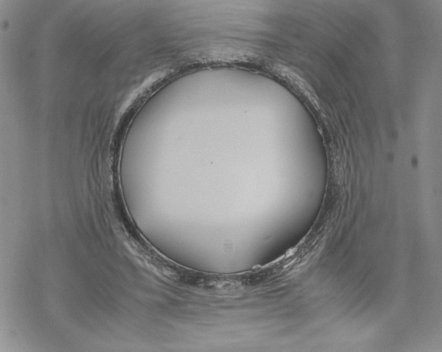 X0000069390395200606021637