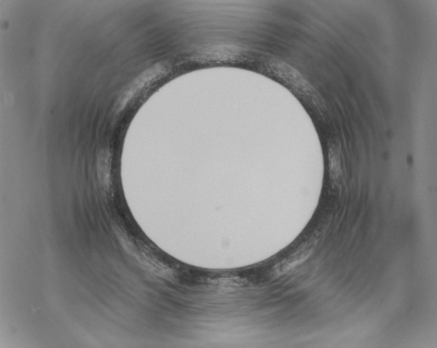 X0000069390396200606021637