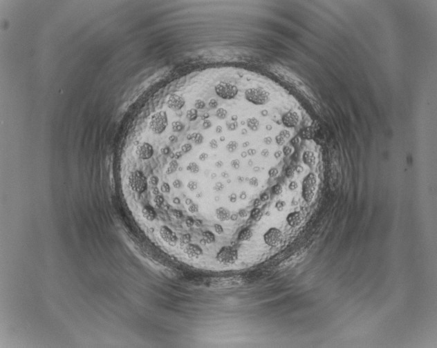 X0000069390398200606021637