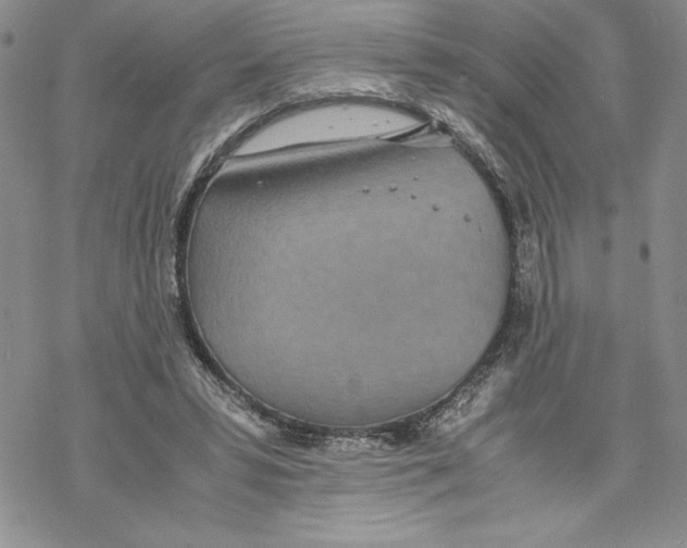 X0000069390399200606021637