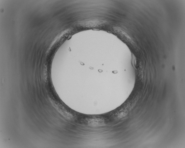 X0000069390400200606021637