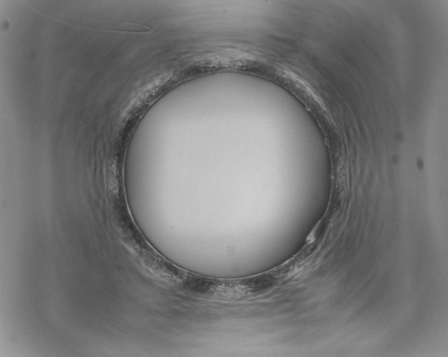 X0000069390403200606021637