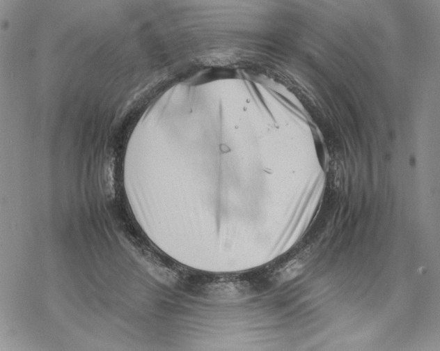 X0000069390404200606021637