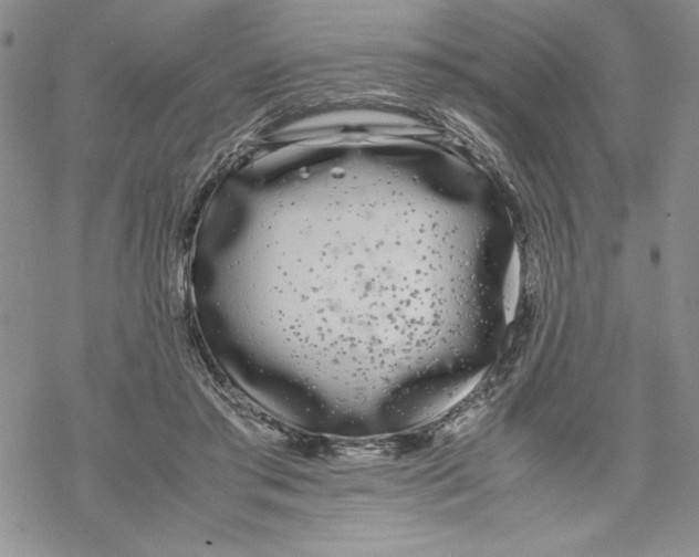 X0000069390405200606021637