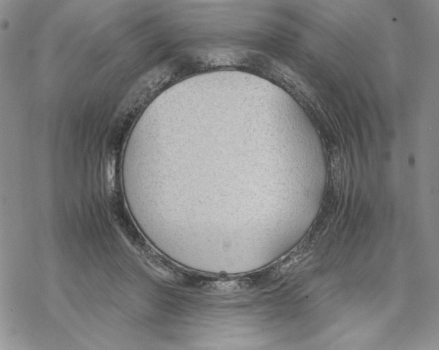 X0000069390406200606021637