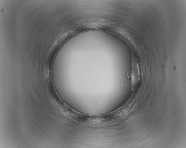 X0000069390407200606021637