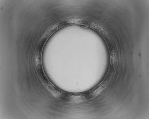 X0000069390408200606021637