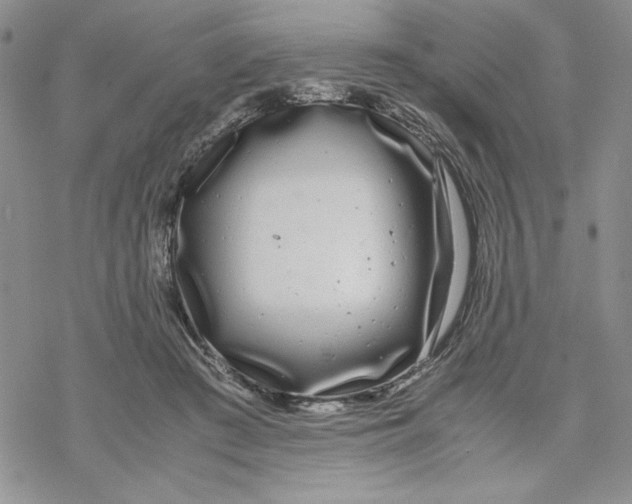 X0000069390409200606021637