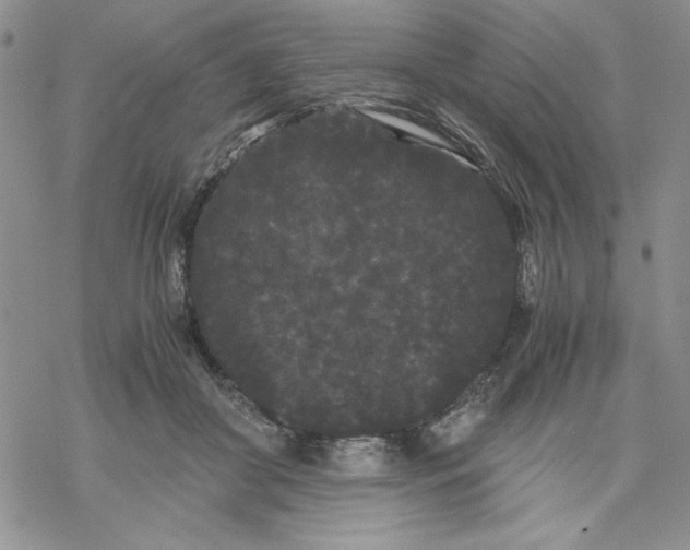 X0000069390410200606021637