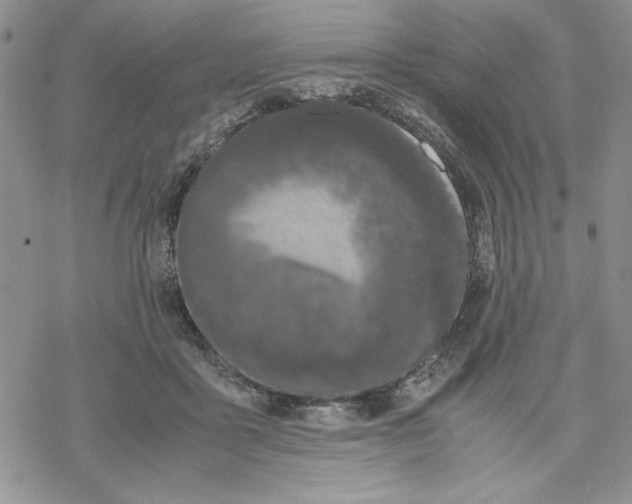 X0000069390411200606021637