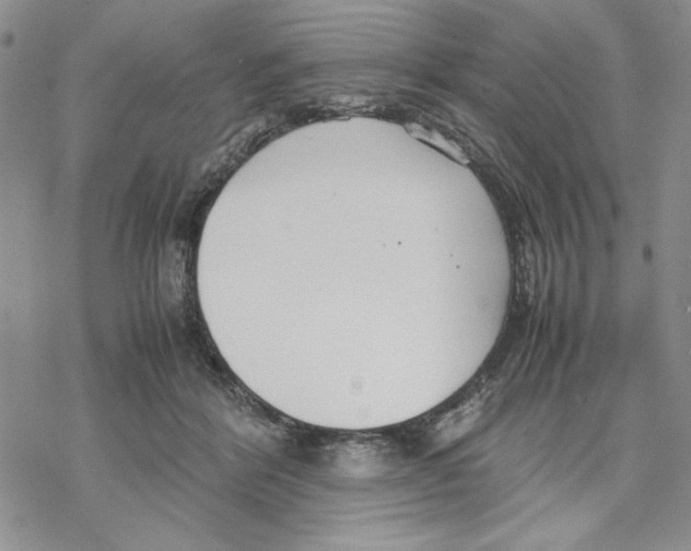 X0000069390412200606021637