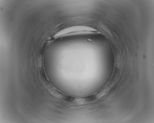 X0000069390413200606021637