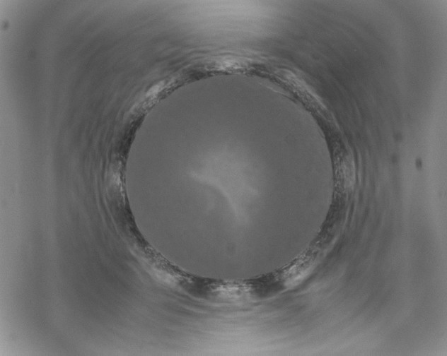 X0000069390415200606021636