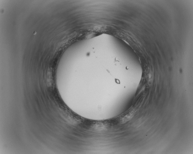 X0000069390416200606021636