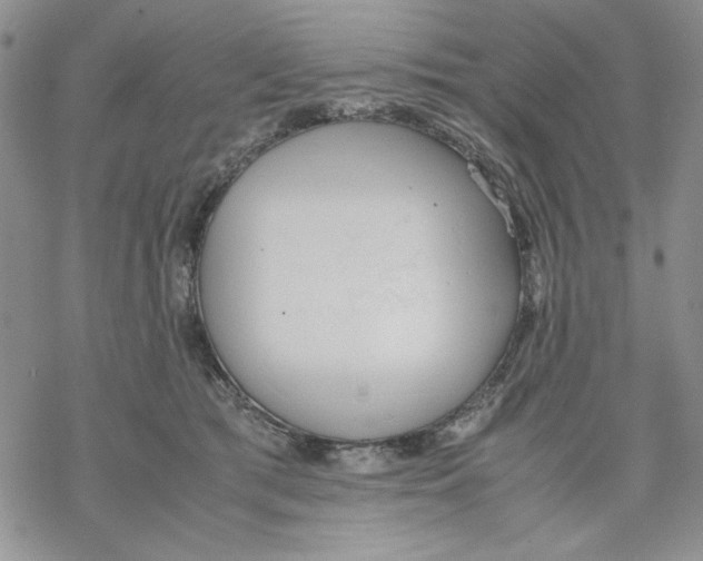 X0000069390417200606021636