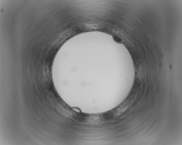 X0000069390418200606021636