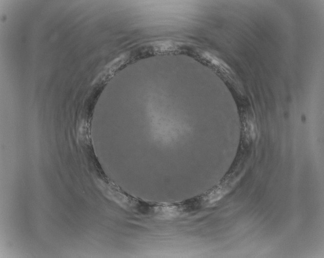 X0000069390419200606021636