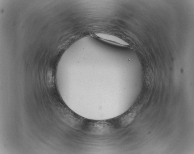 X0000069390420200606021636