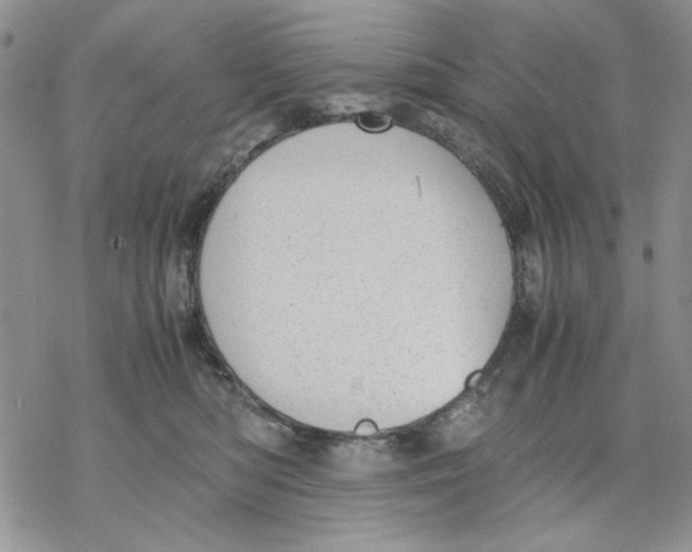 X0000069390422200606021636