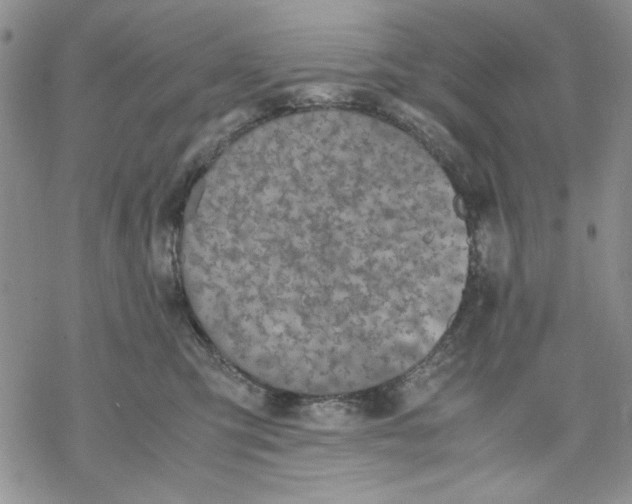 X0000069390423200606021636