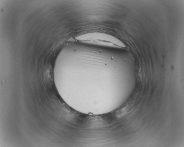 X0000069390424200606021636