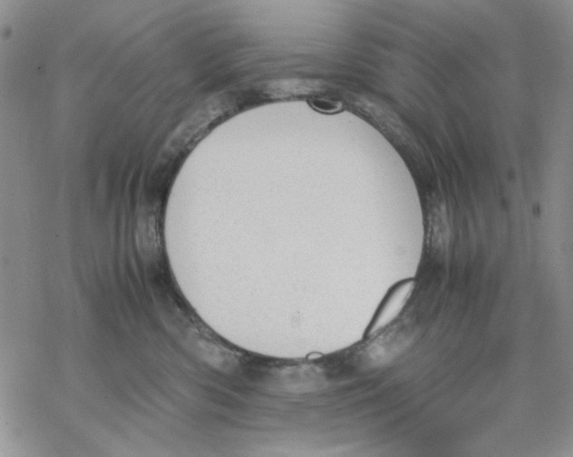 X0000069390426200606021636