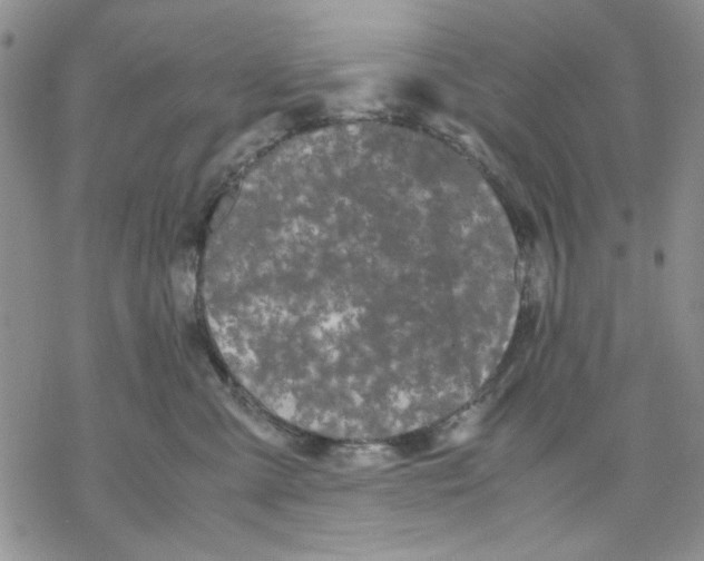 X0000069390427200606021636