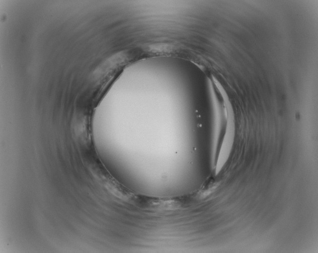 X0000069390428200606021636