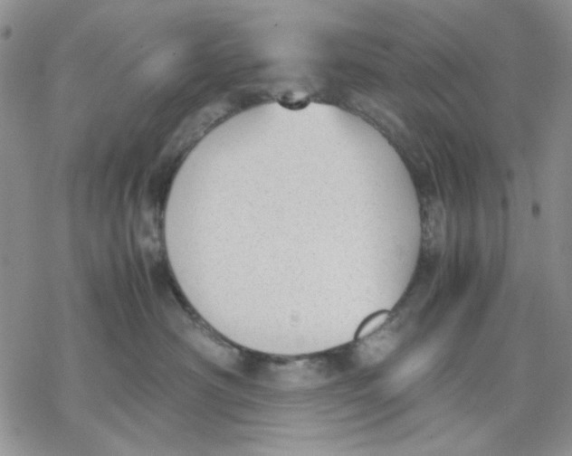 X0000069390430200606021636