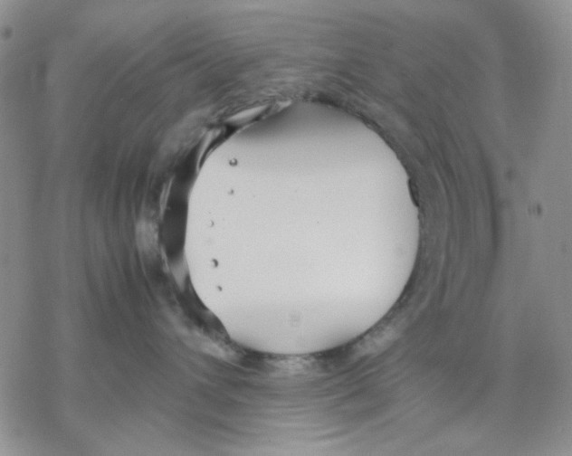 X0000069390432200606021636