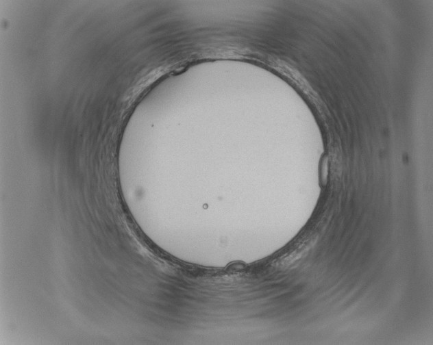 X0000069390433200606021635