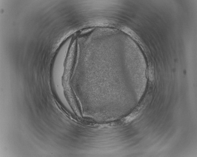 X0000069390434200606021635