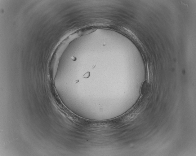 X0000069390435200606021635